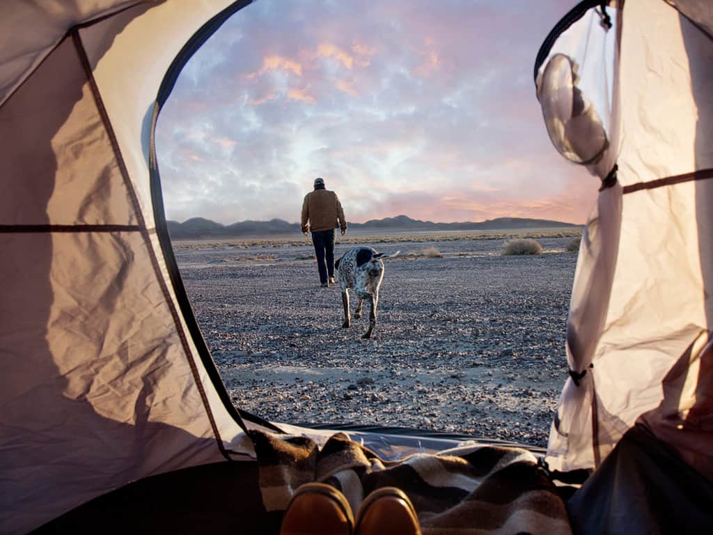 En man och en hund i vildmarken